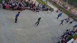 10266148.jpg